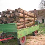 Lieferung Brennholz