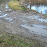 Renaturierung Teich