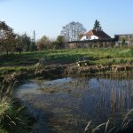 Renaturierung Teich