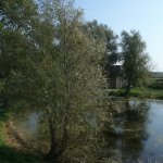 Renaturierung Teich