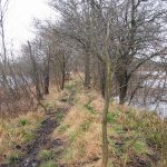 Unsere Seen