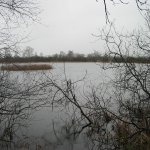 Unsere Seen