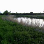 Unsere Seen
